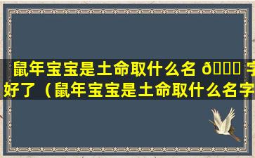 鼠年宝宝是土命取什么名 🍀 字好了（鼠年宝宝是土命取什么名字好了呢）